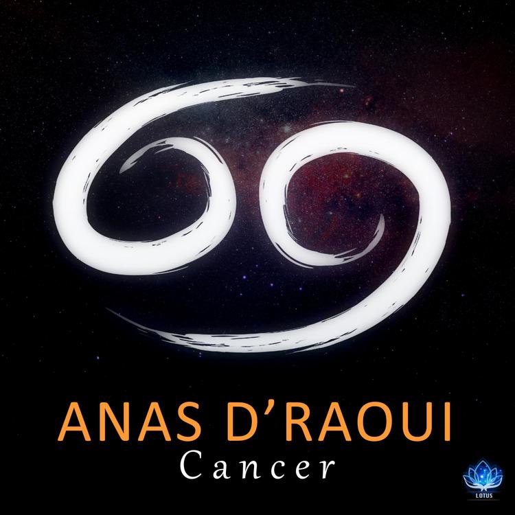 Anas D'raoui's avatar image