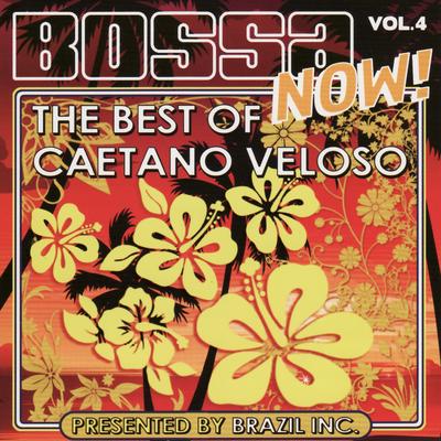 Bossa Now! Vol. 4 - The Best of Caetano Veloso's cover