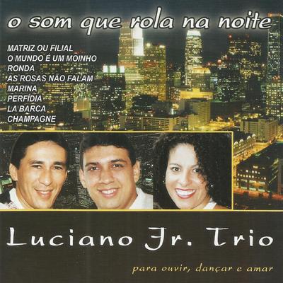 Pot-Pourri: Por Causa de Você / Perfídia / Meu Grande Amor By Luciano Jr. Trio's cover