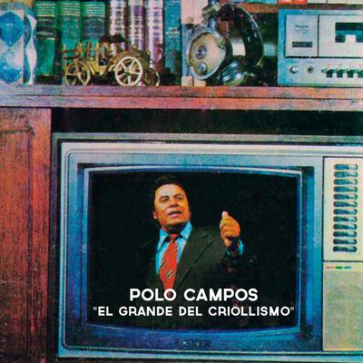 Augusto Polo Campos's cover