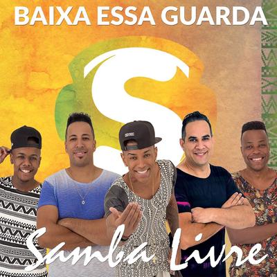 Baixa Essa Guarda's cover