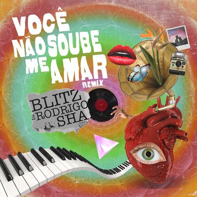 Você Não Soube Me Amar (Extended Version) (Remix)'s cover