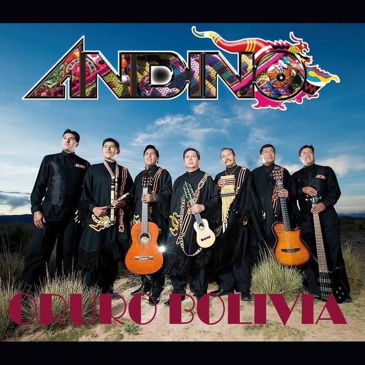 Grupo Andino De Oruro's avatar image