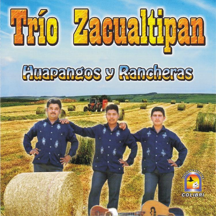Trio Zacualtipan's avatar image