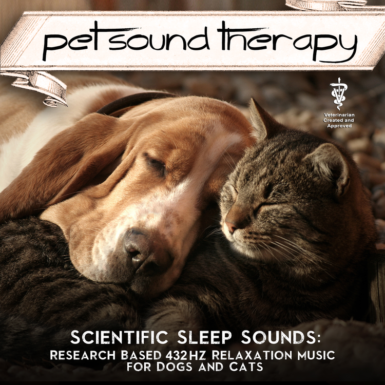 Pet Sound Therapy's avatar image