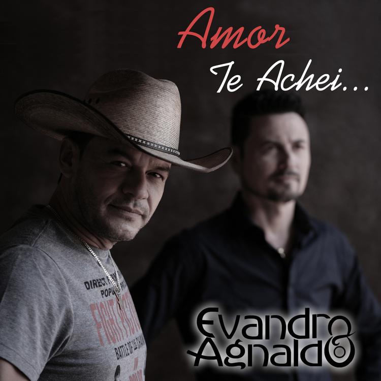Evandro & Agnaldo's avatar image