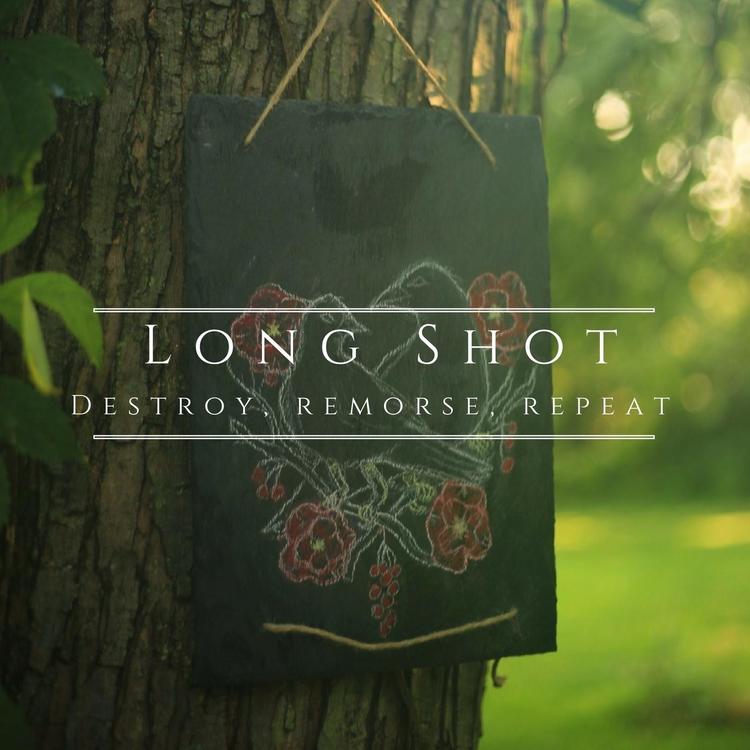 Long Shot's avatar image