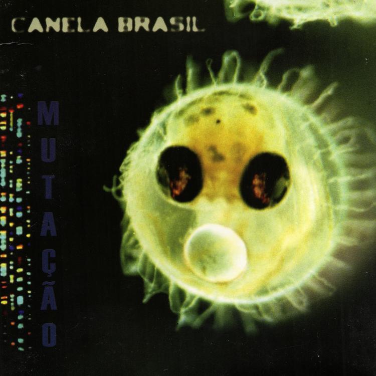 Canela Brasil's avatar image