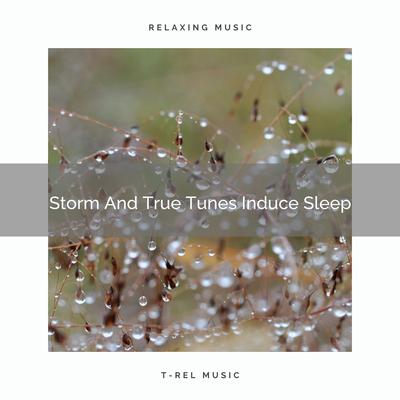 Storm And True Songs Relax Babies's cover