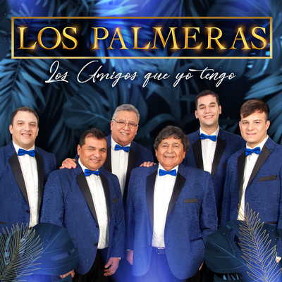 Los Amigos Que Yo Tengo By Los Palmeras's cover