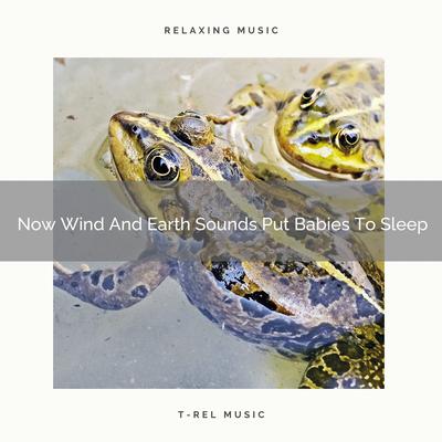 Now Wind And Earth Sounds Put Babies To Sleep By Baby Sleep Music's cover