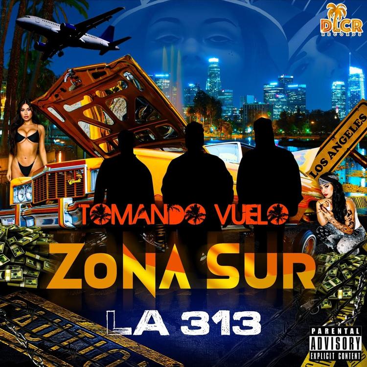 Zona Sur's avatar image