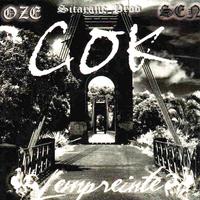 Cok's avatar cover