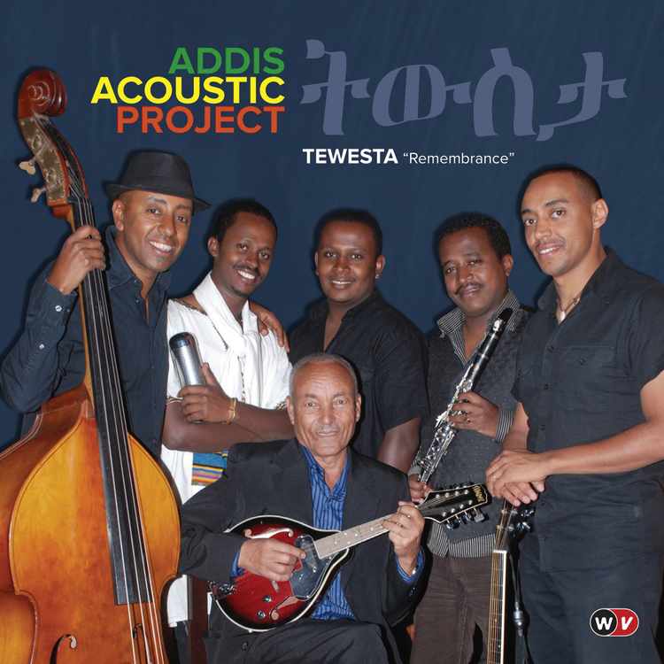 Addis Acoustic Project's avatar image