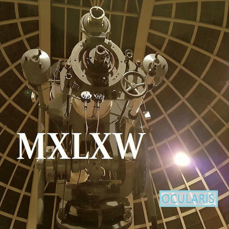 MXLXW's avatar image