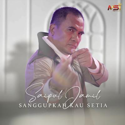 Saipul Jamil's cover