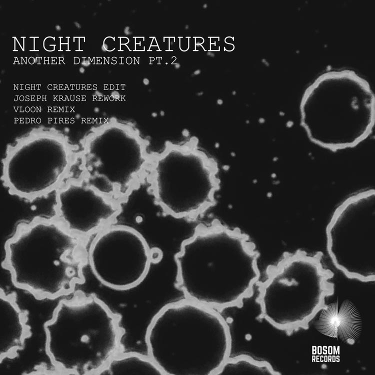 Night Creatures's avatar image
