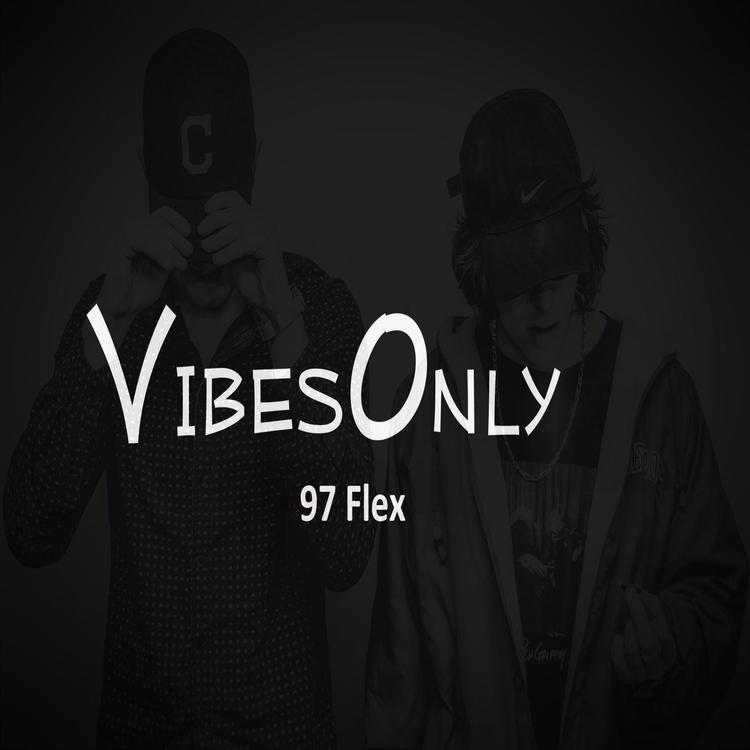 Vibesonly's avatar image