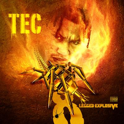 Seem to Be By TEC's cover