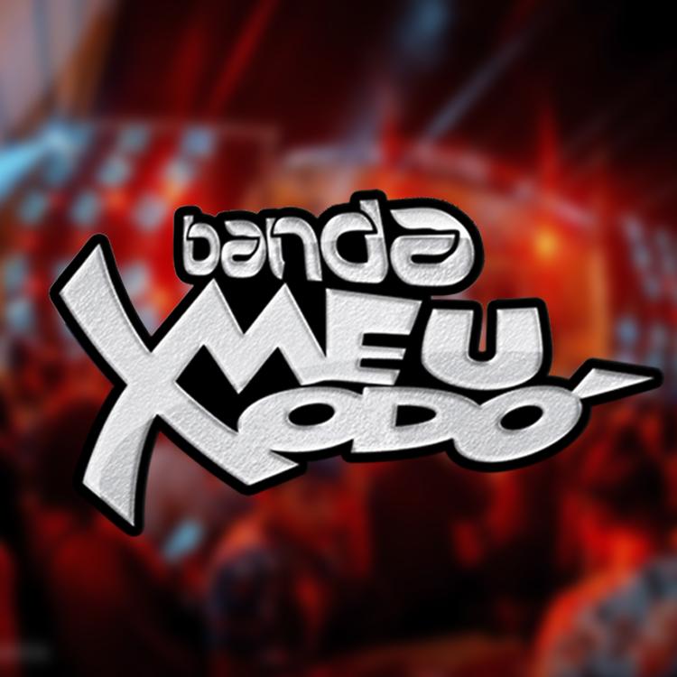 Banda Meu Xodó Manaus's avatar image