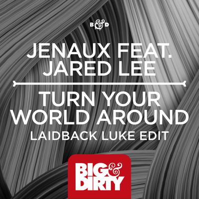 Turn Your World Around (Laidback Luke Radio Edit) By Jenaux, Jared Lee's cover