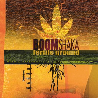 International Diplomat By Boom Shaka's cover