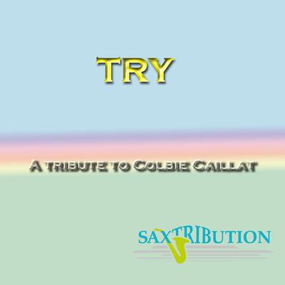 Try - A Tirbute To Colbie Caillat's cover