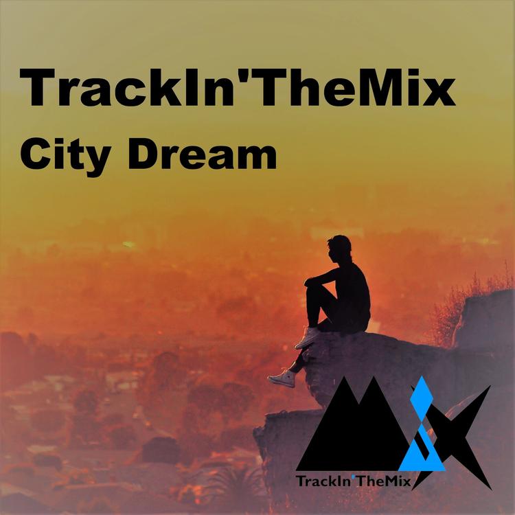 TrackIn'TheMix's avatar image