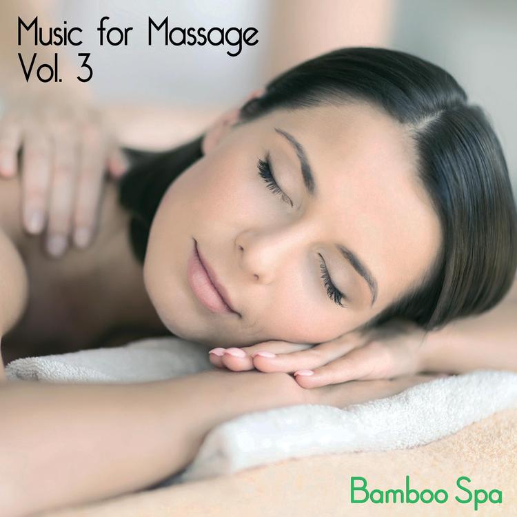 Bamboo Spa's avatar image