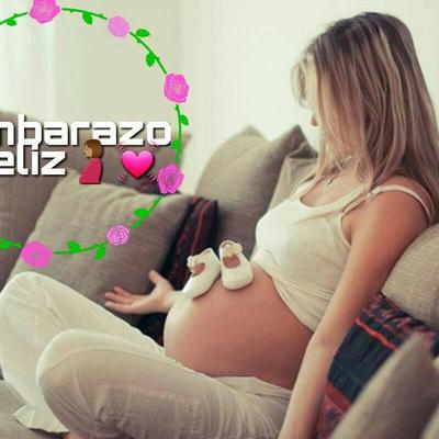 Embarazo Feliz's cover