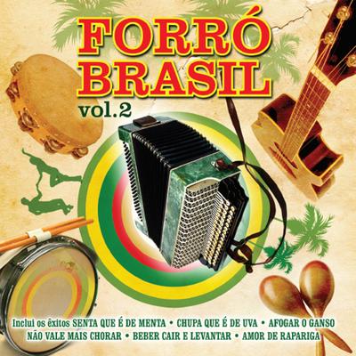 Forró Brasil Vol.2's cover