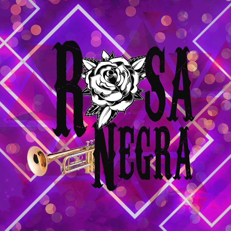 Rosa Negra's avatar image