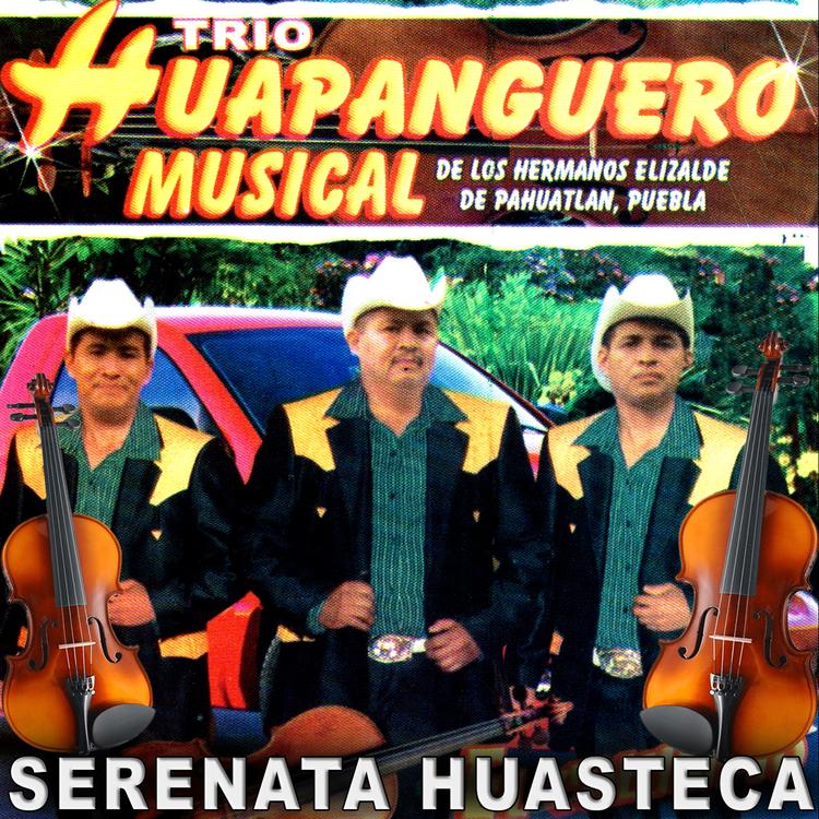 Trio Huapanguero Musical's avatar image