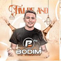 Bodim do Piseiro's avatar cover