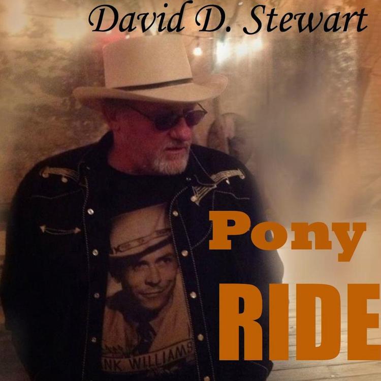 David D. Stewart's avatar image