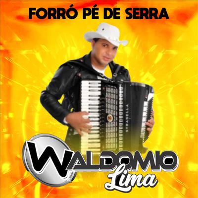 FORRÓ PÉ DE SERRA's cover