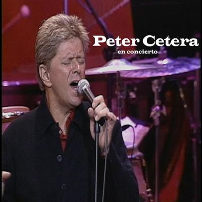 The Next Time I Fall By Peter Cetera's cover