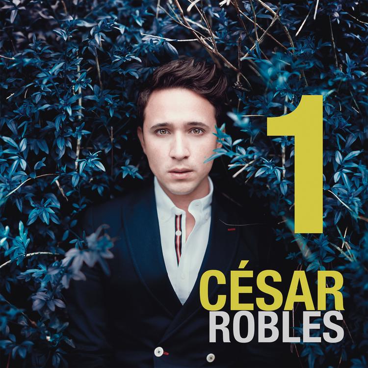 César Robles's avatar image