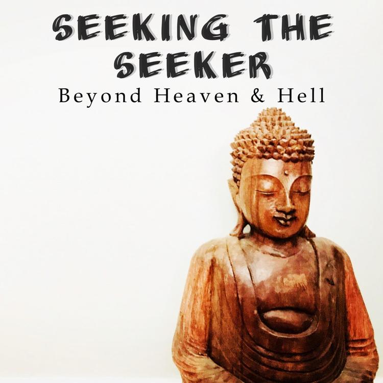 Seeking the Seeker's avatar image