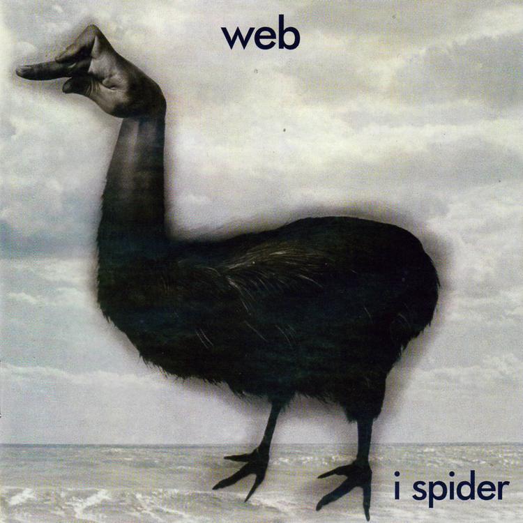 Web's avatar image