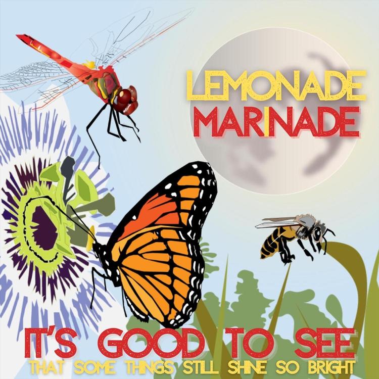 Lemonade Marinade's avatar image