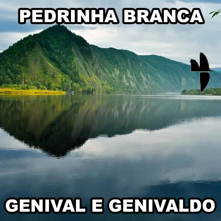 Genival e Genivaldo's avatar image