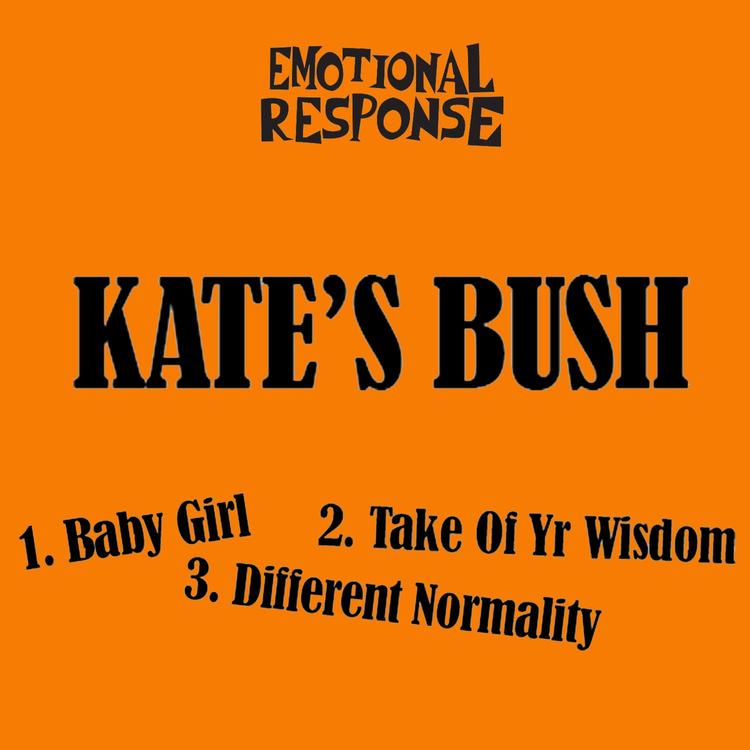 Kate's Bush's avatar image