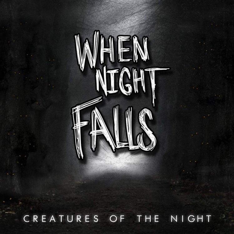 When Night Falls's avatar image