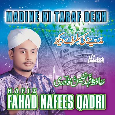 Nabi Waris By Hafiz Fahad Nafees Qadri's cover