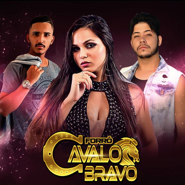 Forró Cavalo Bravo's avatar image