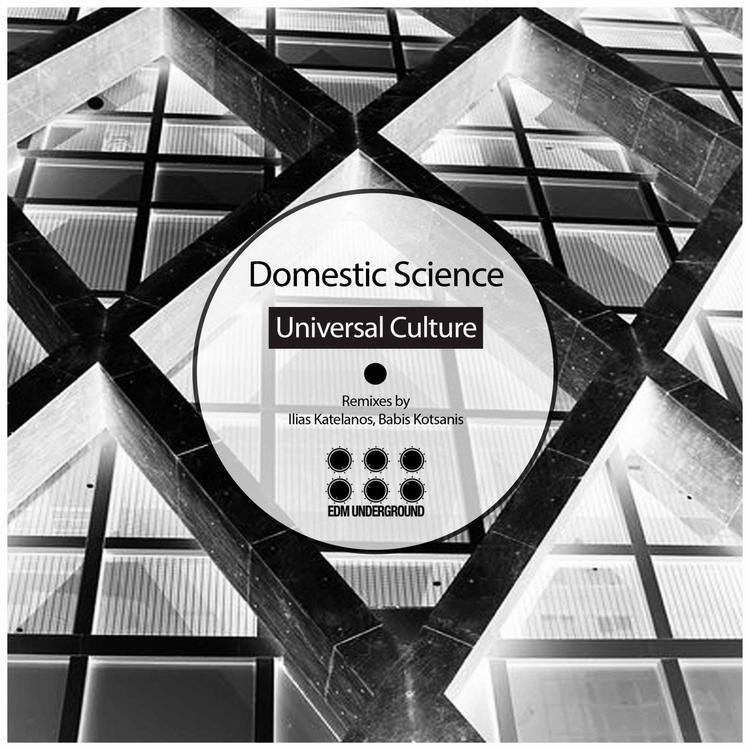 Domestic Science's avatar image