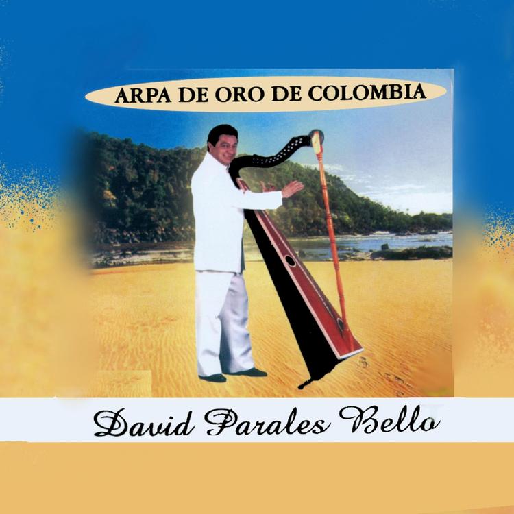 David Parales Bello's avatar image