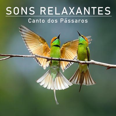 Canto dos Pássaros para Relaxar, Pt. 10's cover