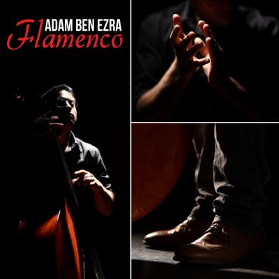 Flamenco By Adam Ben Ezra's cover